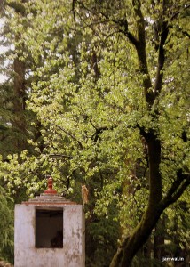 Another small temple on the way