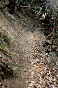 Trek to Triund