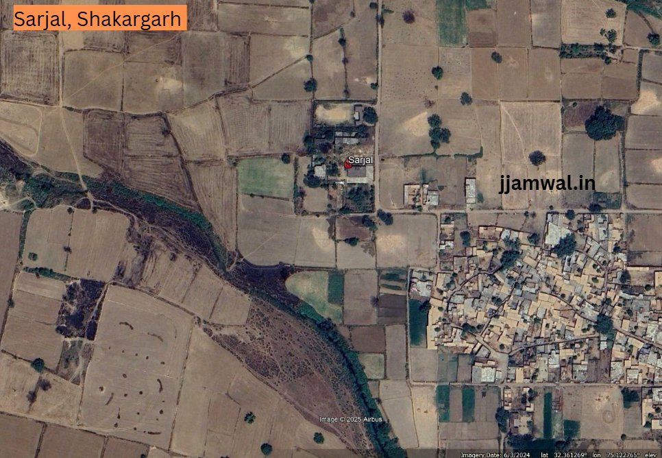 Sarjal, Shakargarh closeup